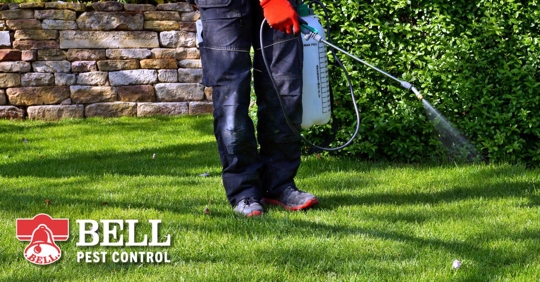 Garden pest control