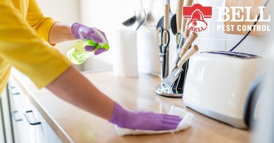 Person wearing gloves cleaning kitchen counter